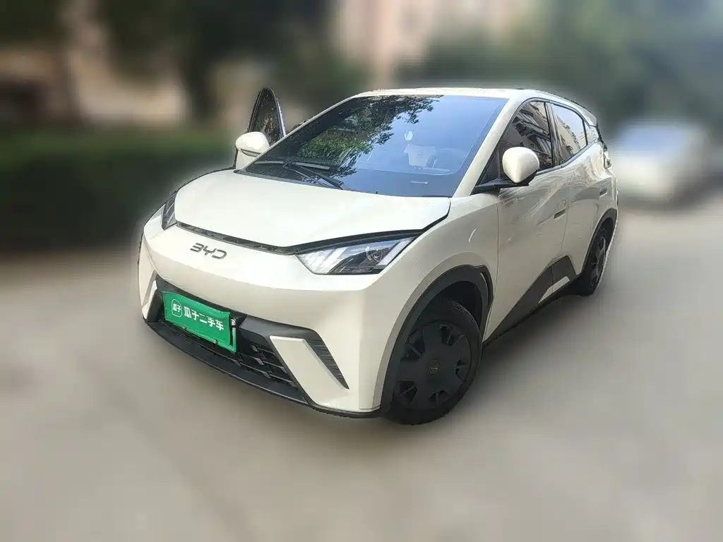 BYD Seagull 2024