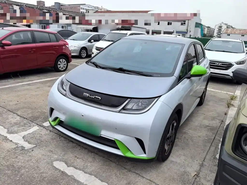 BYD Dolphin 2021