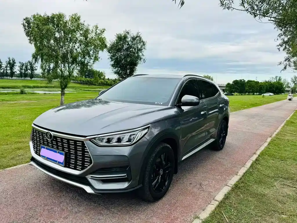 BYD PLUS 2021