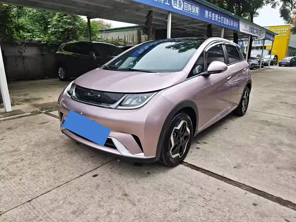 BYD Dolphin 2022