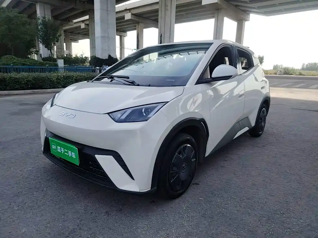 BYD Seagull 2024