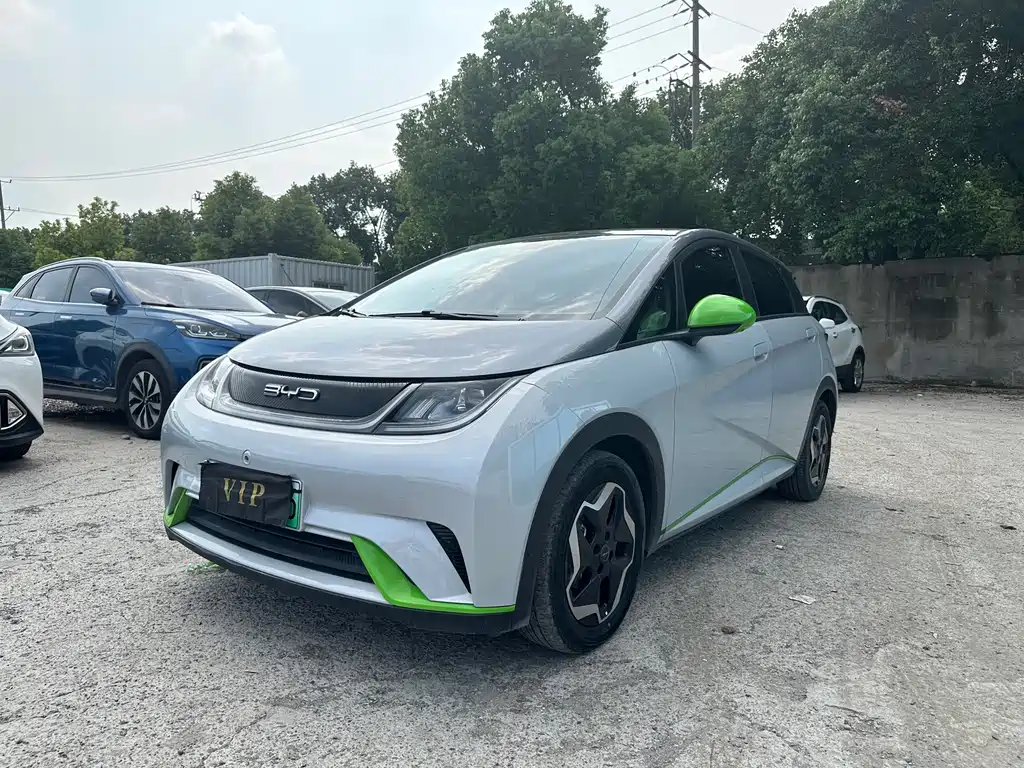 BYD Dolphin 2022