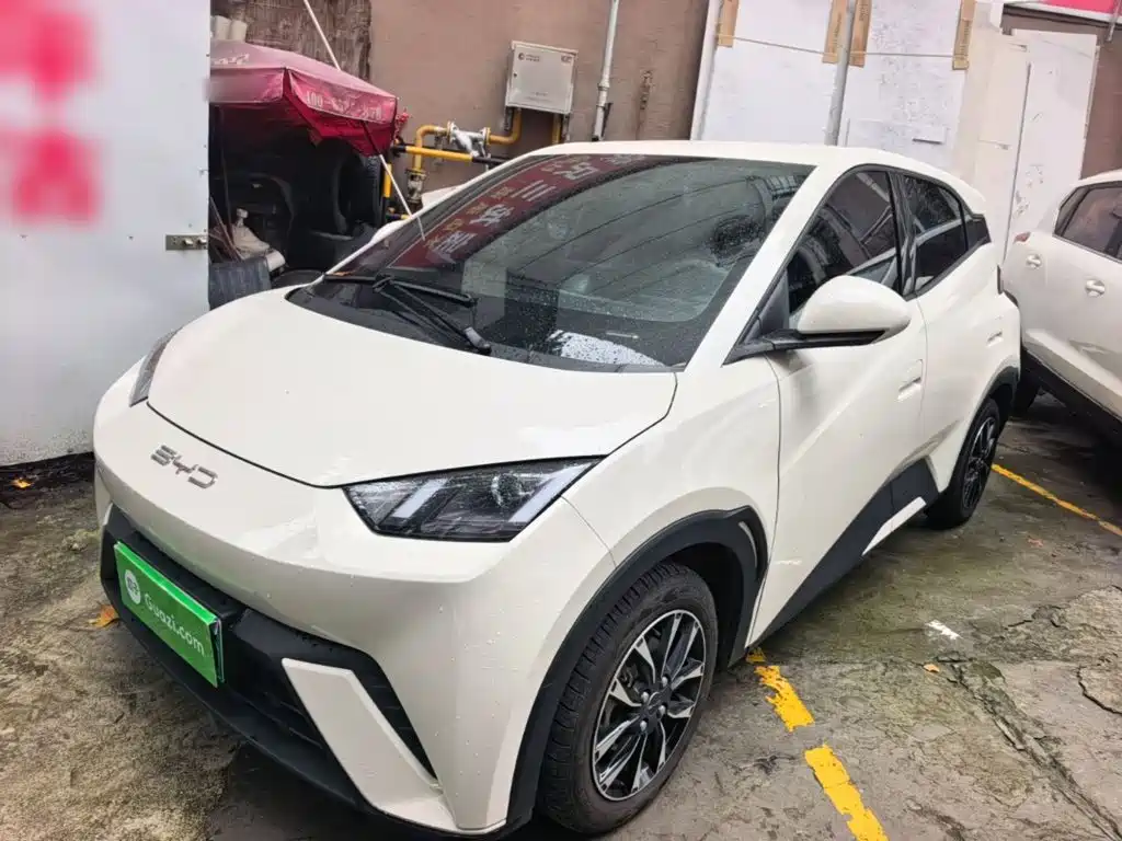 BYD Seagull 2024