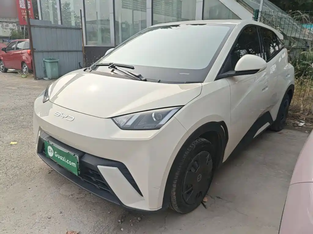 BYD Seagull 2024
