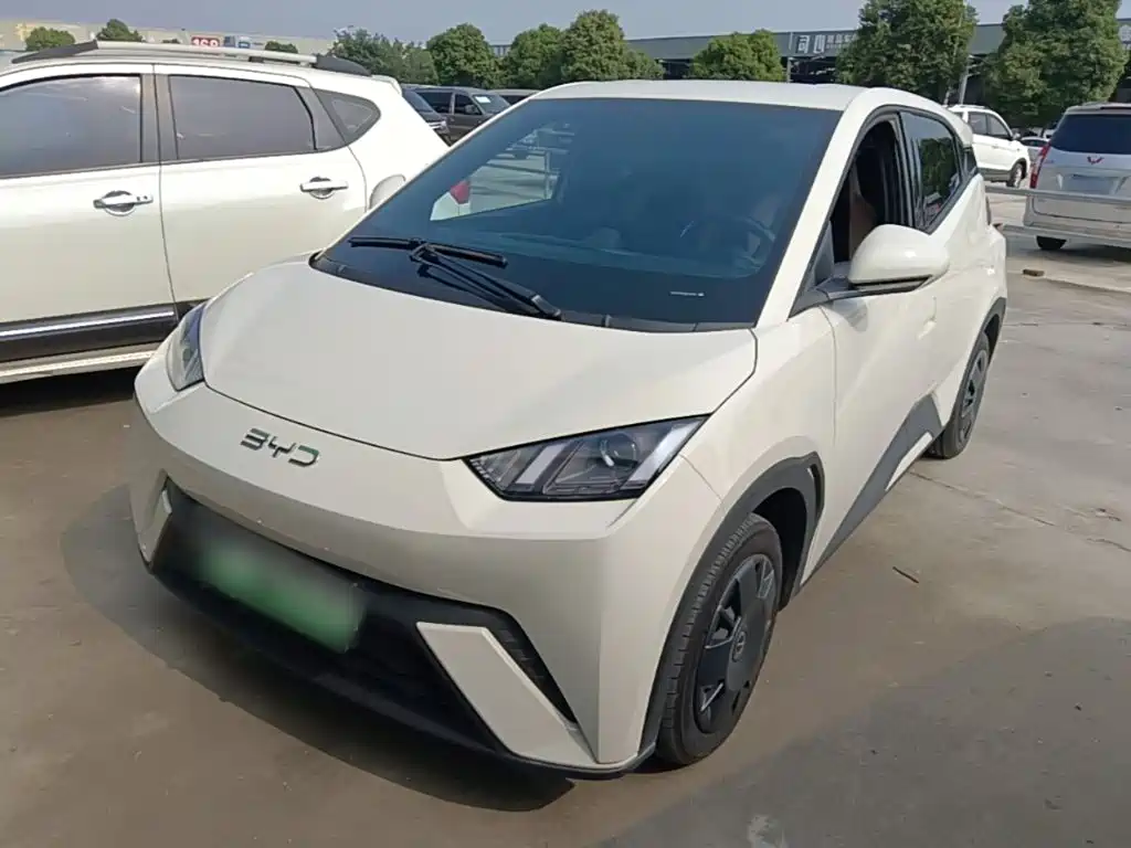 BYD Seagull 2024