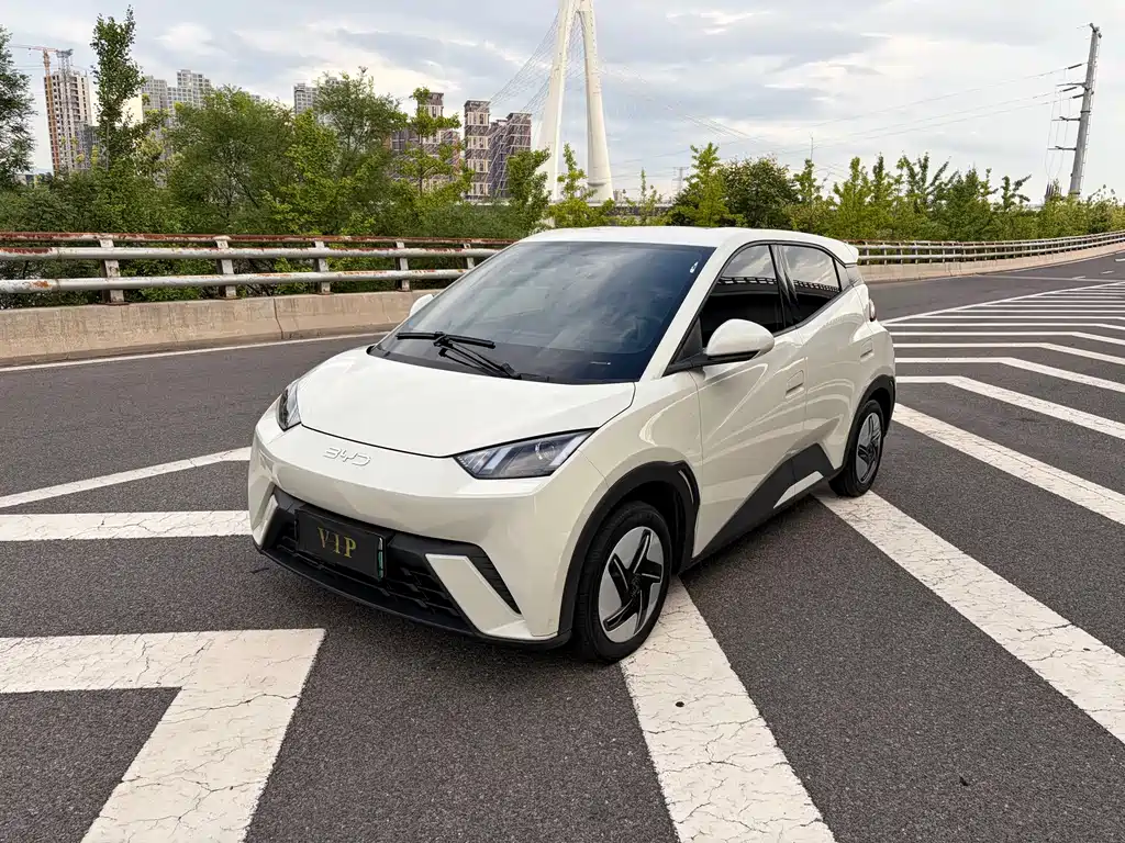 BYD Seagull 2024