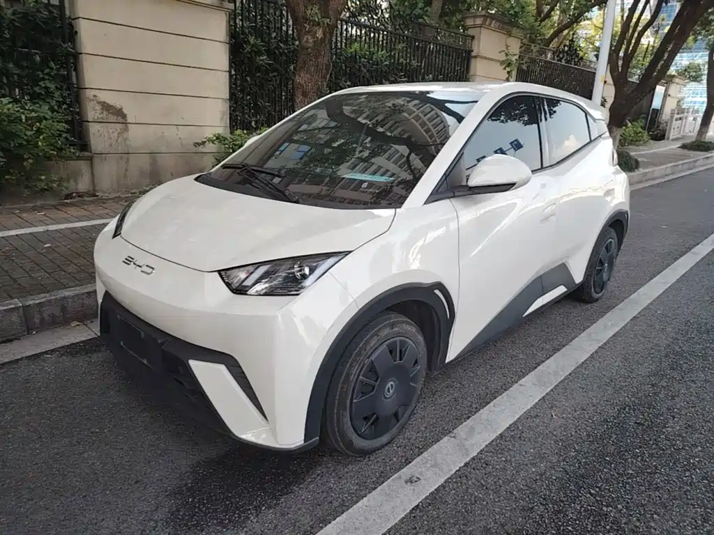 BYD Seagull 2024