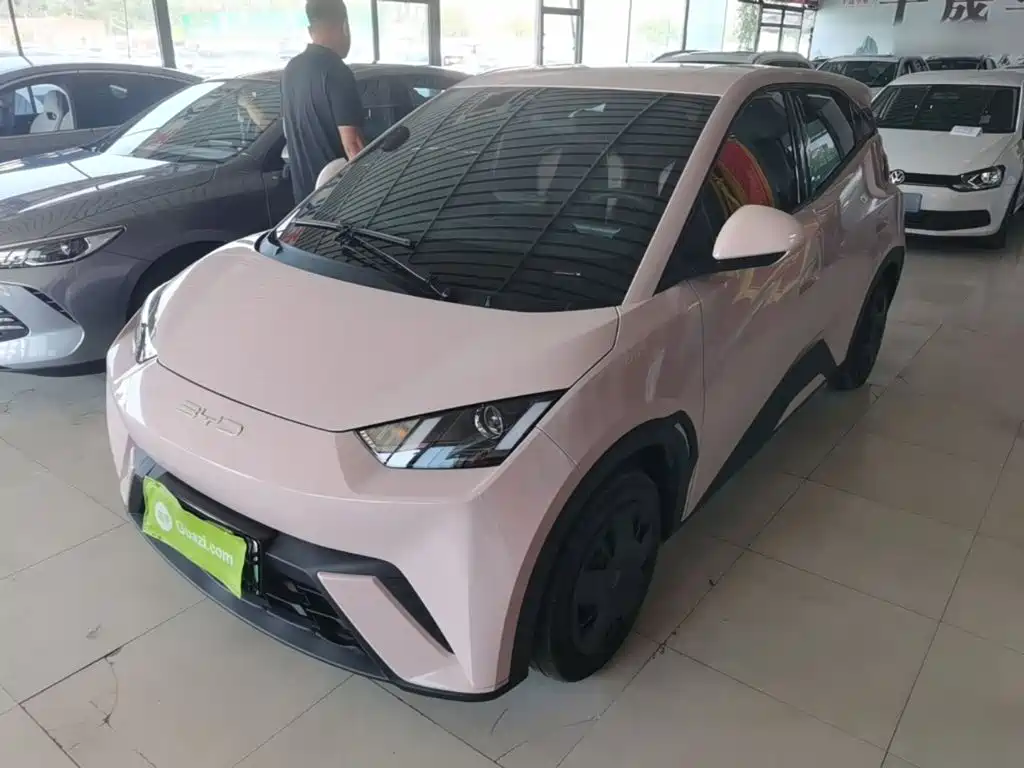 BYD Seagull 2024