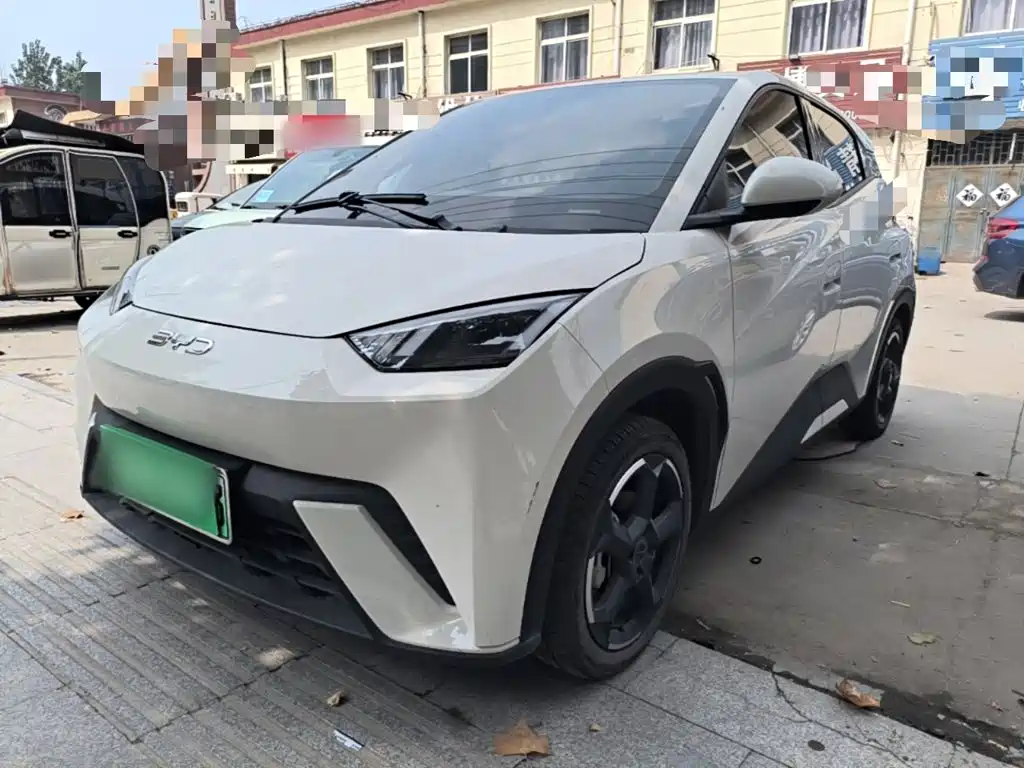 BYD Seagull 2024