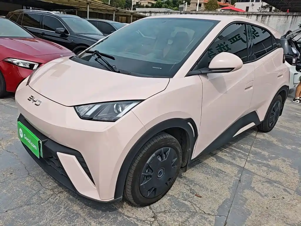 BYD Seagull 2024