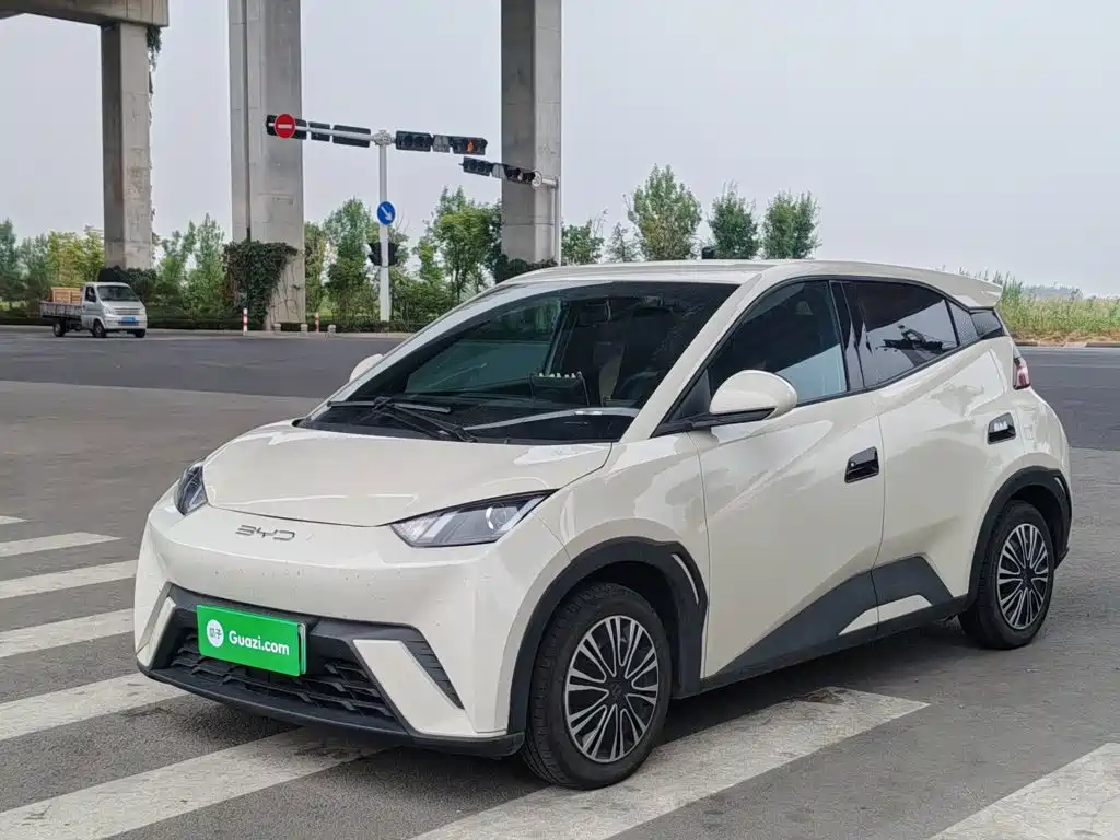 BYD Seagull 2024