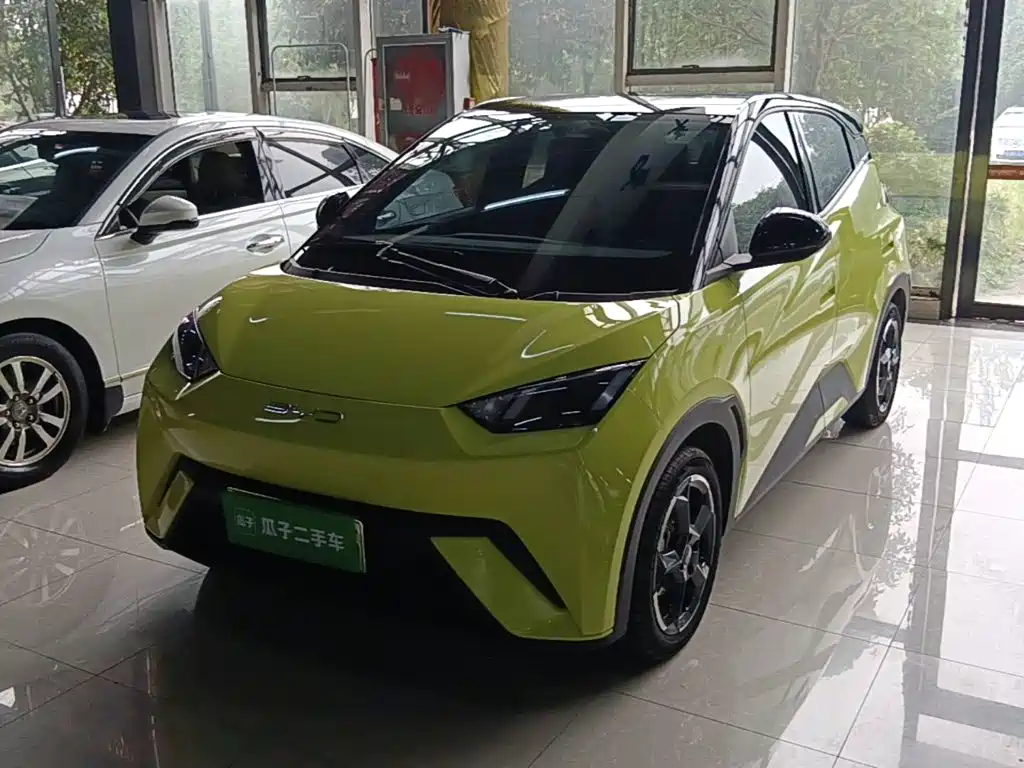 BYD Seagull 2024