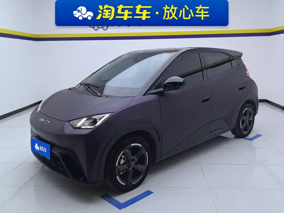 BYD Seagull 2024