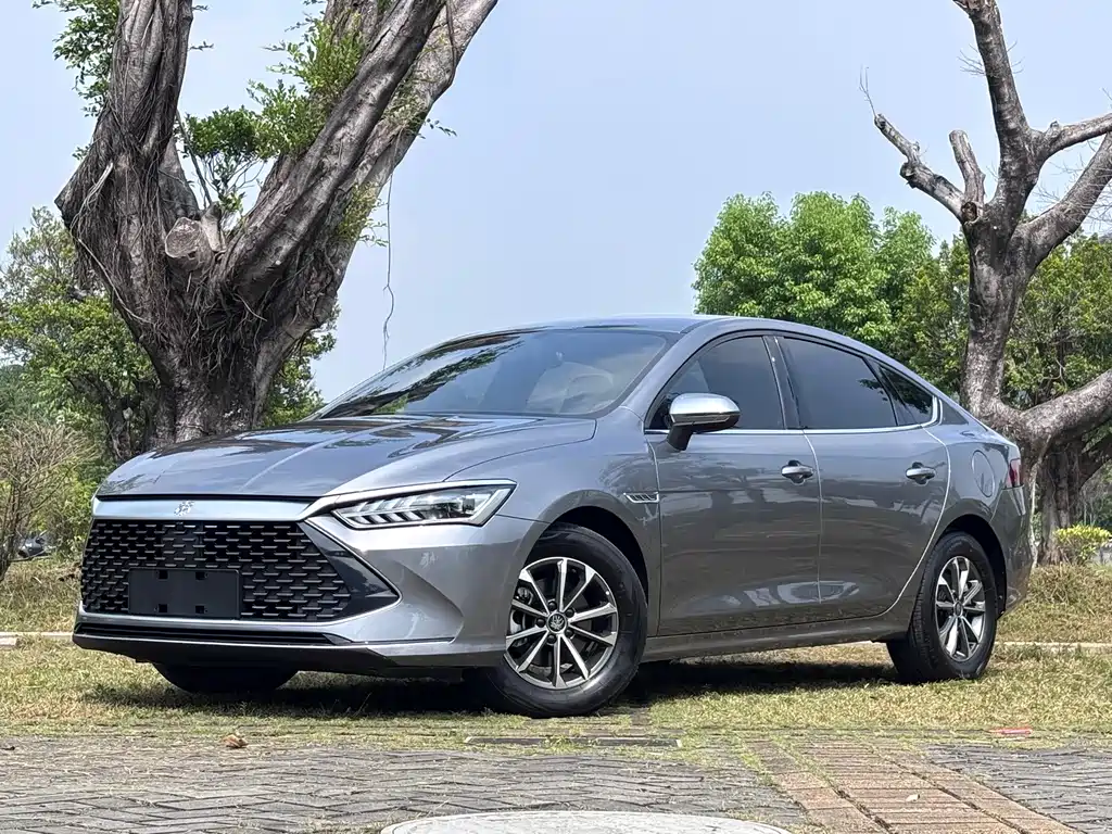 BYD Qin PLUS 2024