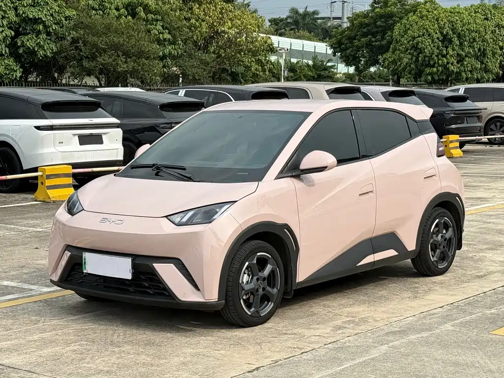 BYD Seagull 2024