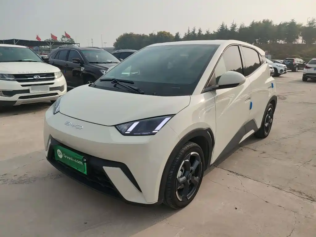 BYD Seagull 2024