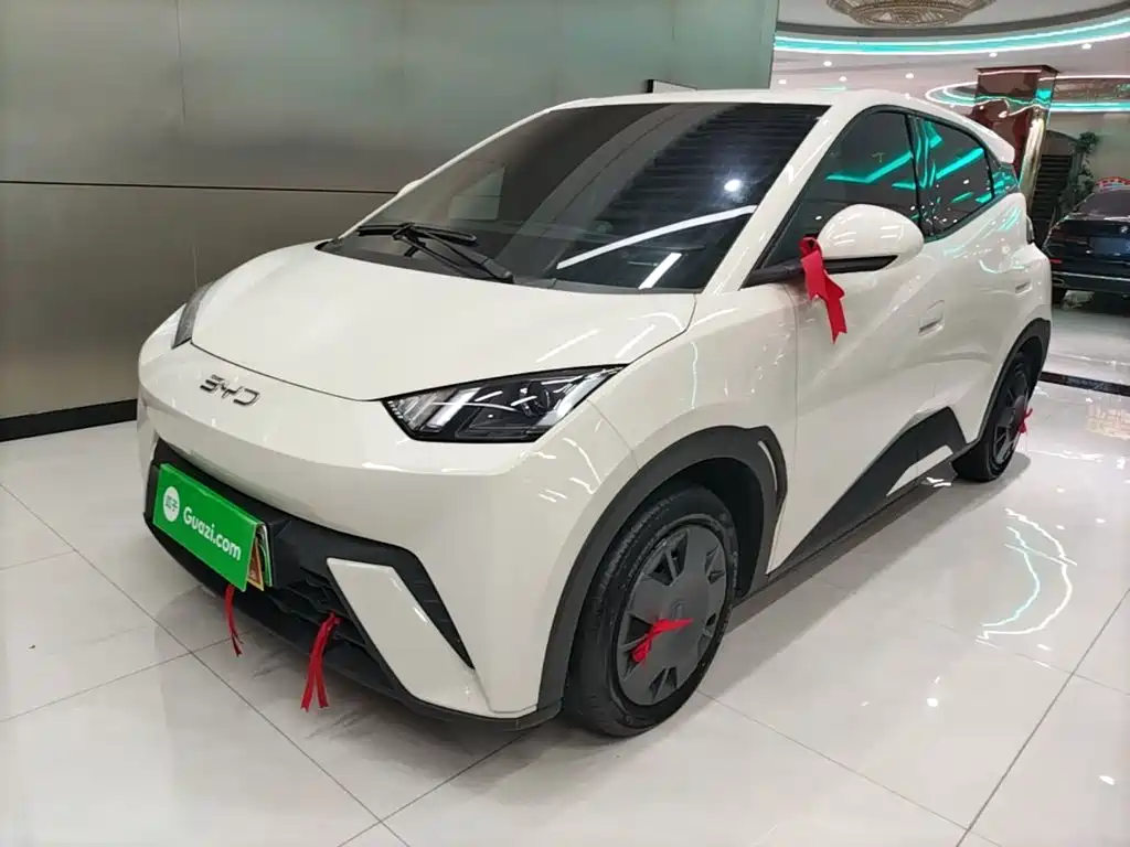 BYD Seagull 2024