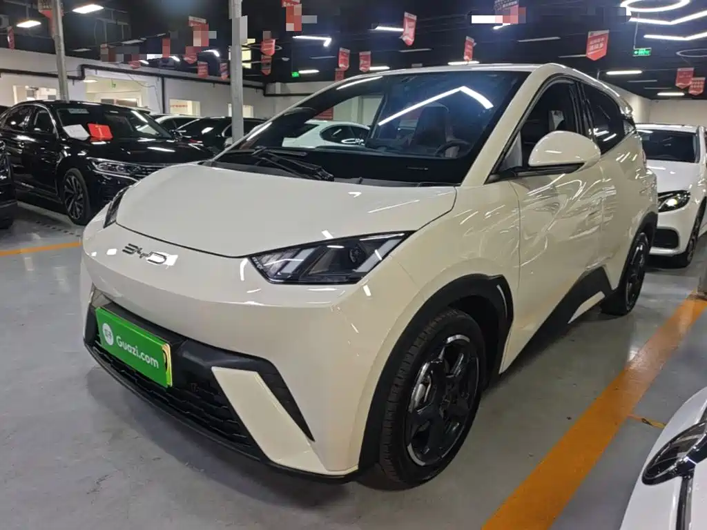 BYD Seagull 2024