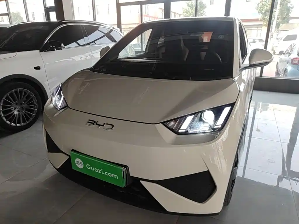BYD Seagull 2025