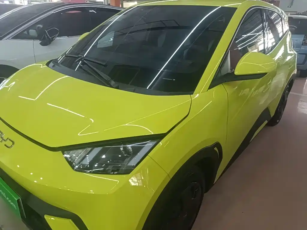 BYD Seagull 2024