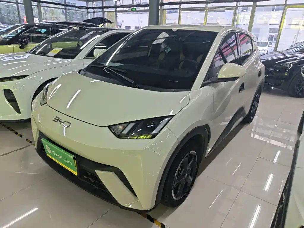 BYD Seagull 2024
