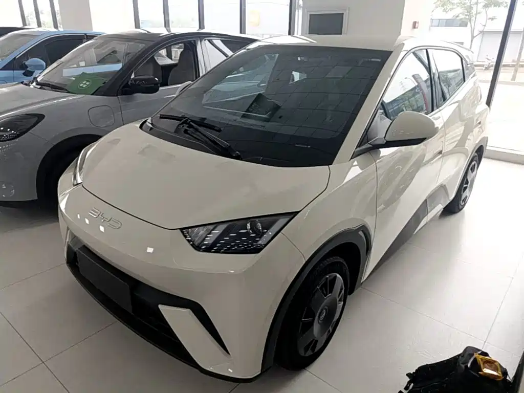 BYD Seagull 2024