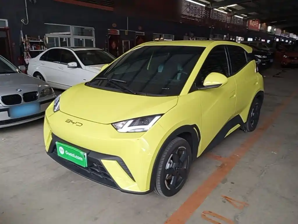 BYD Seagull 2024