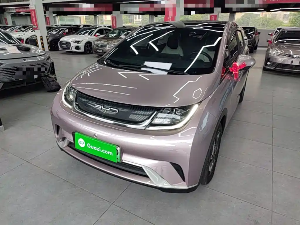 BYD Dolphin 2022