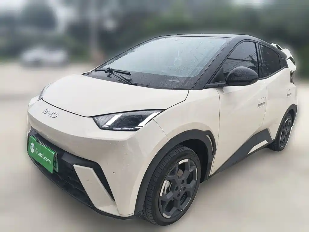 BYD Seagull 2024