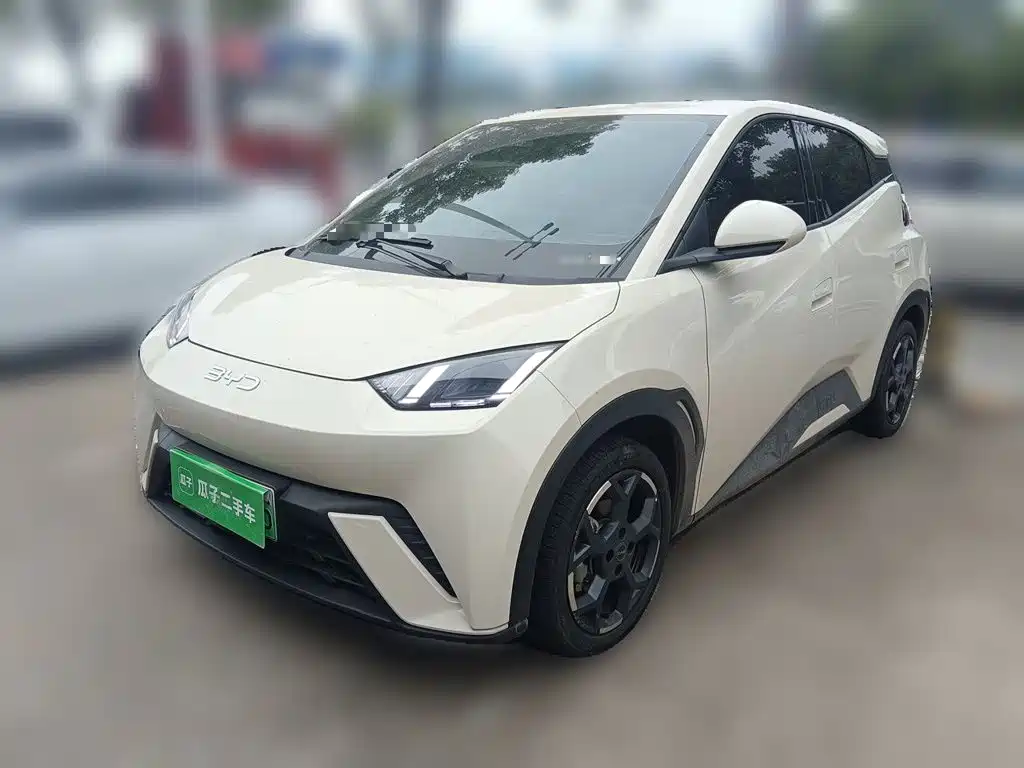BYD Seagull 2024