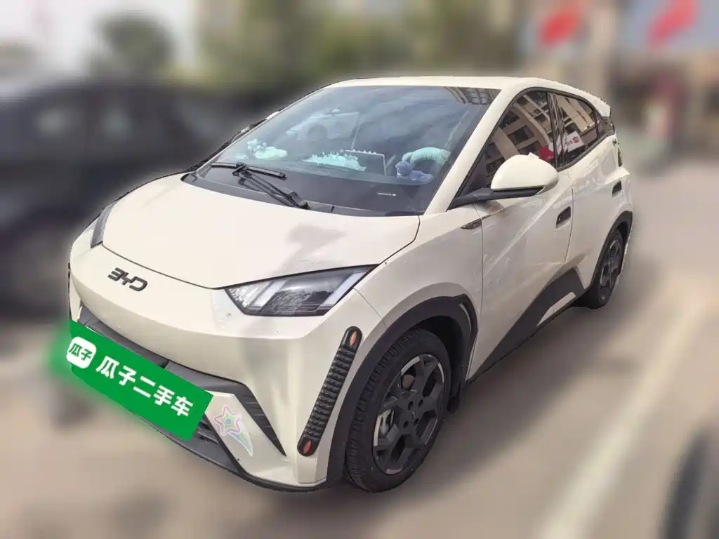 BYD Seagull 2024