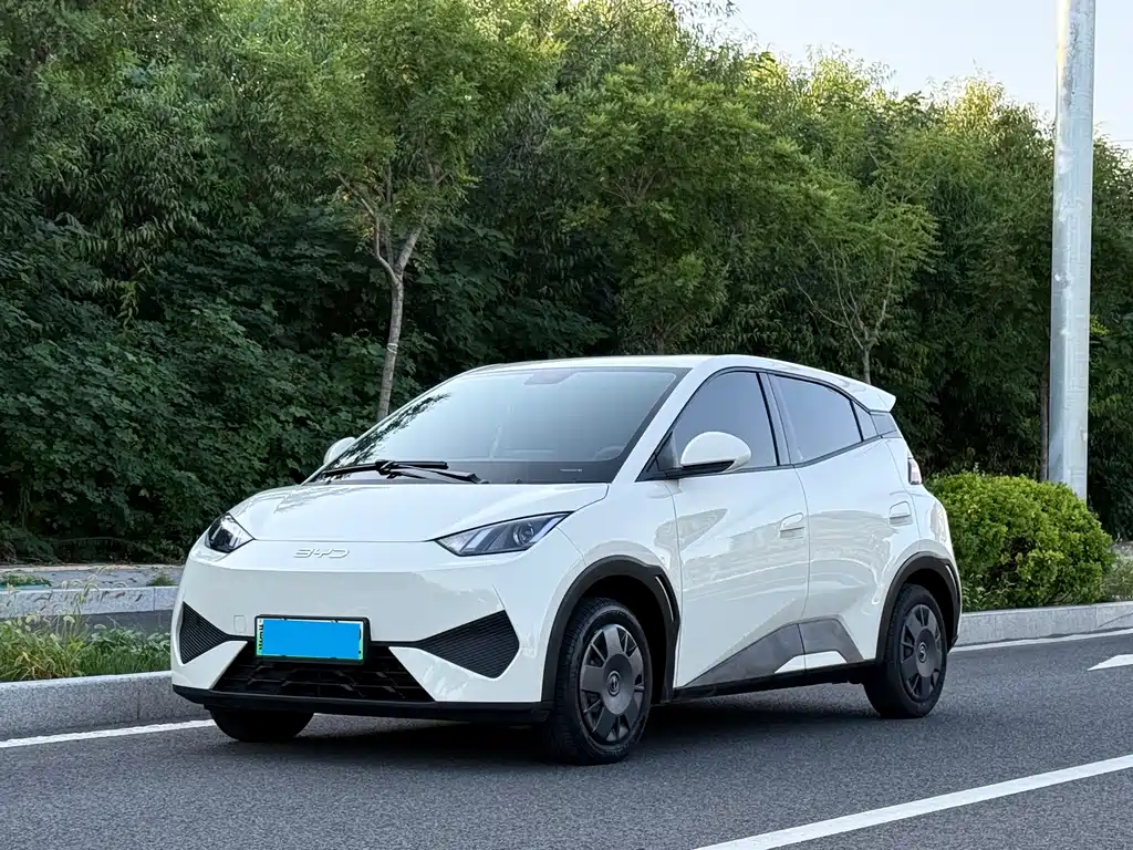 BYD Seagull 2025