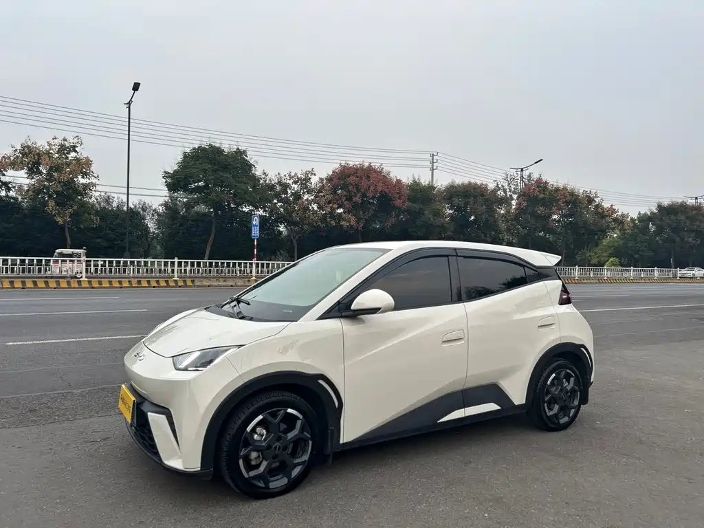BYD Seagull 2024