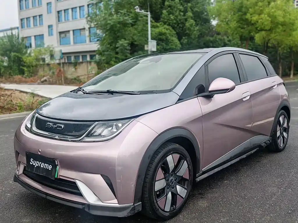 BYD Dolphin 2022
