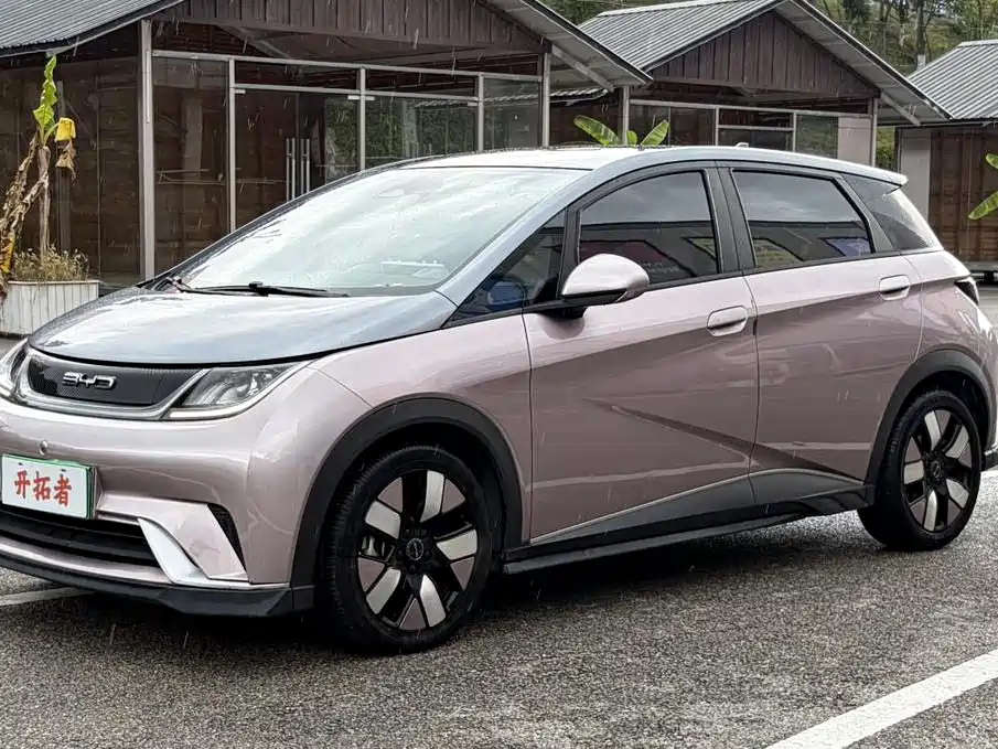 BYD Dolphin 2022