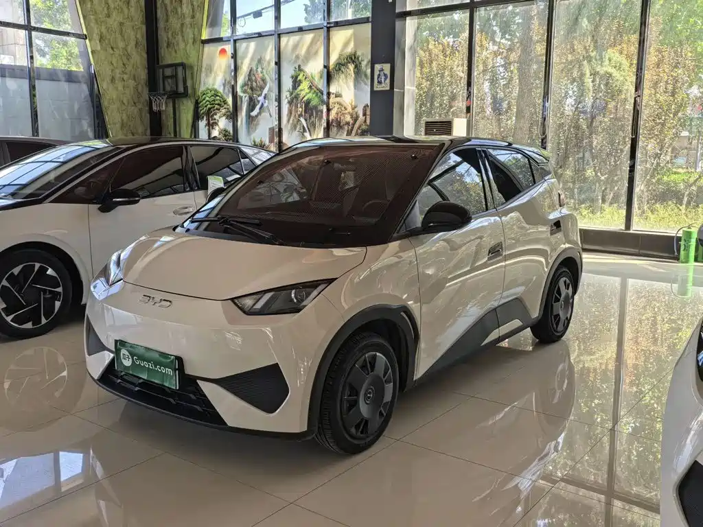 BYD Seagull 2025