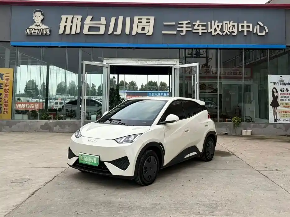 BYD Seagull 2025