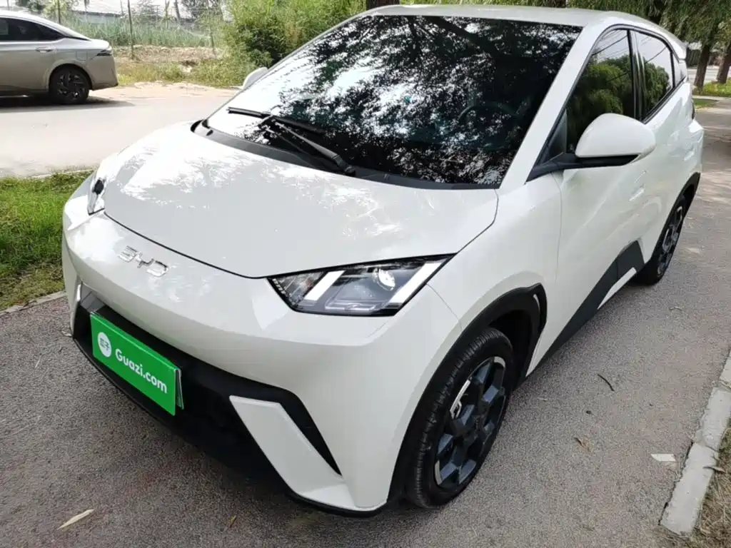 BYD Seagull 2024