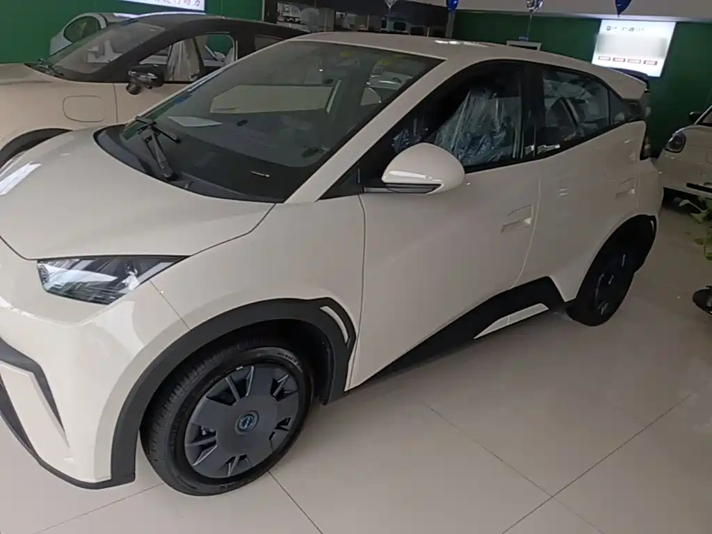 BYD Seagull 2025
