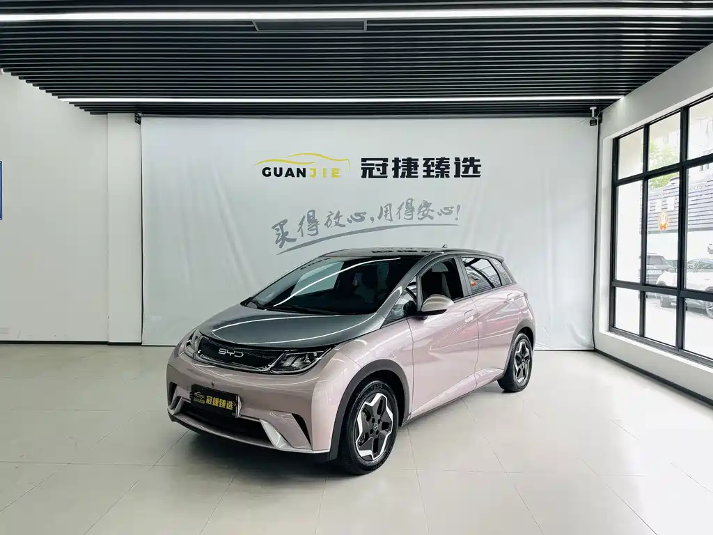 BYD Dolphin 2022
