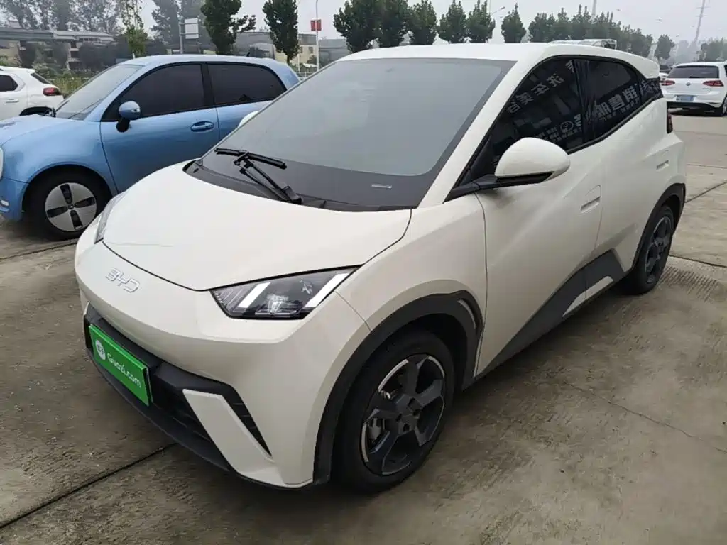BYD Seagull 2024