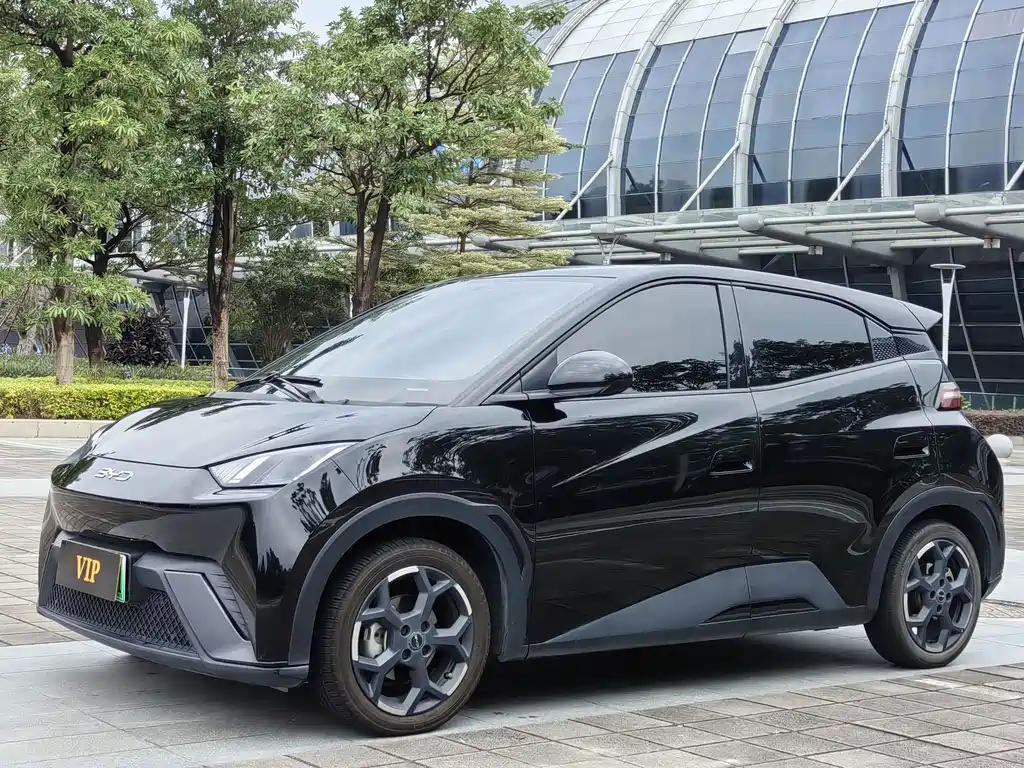 BYD Seagull 2025