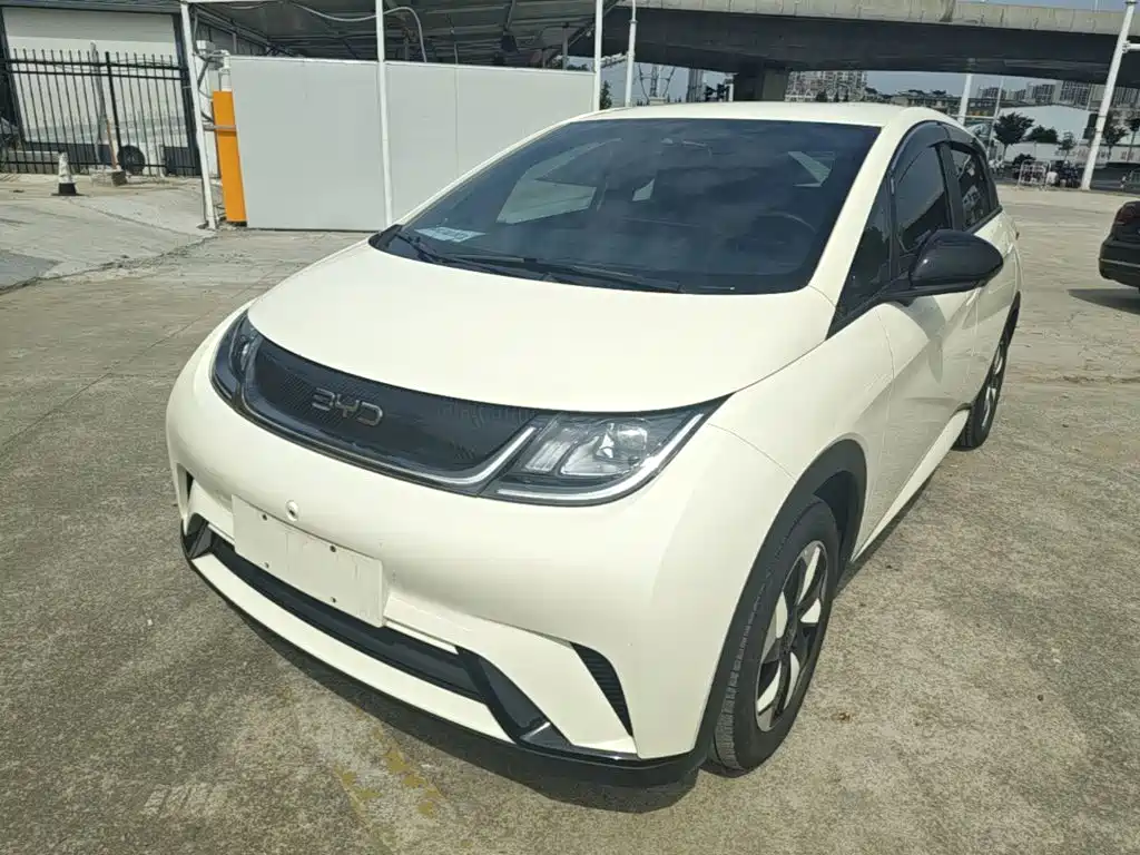 BYD Dolphin 2024