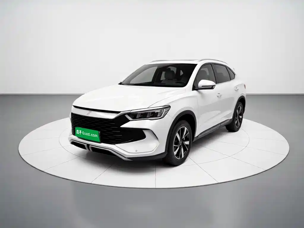 BYD Pro New Energy 2024