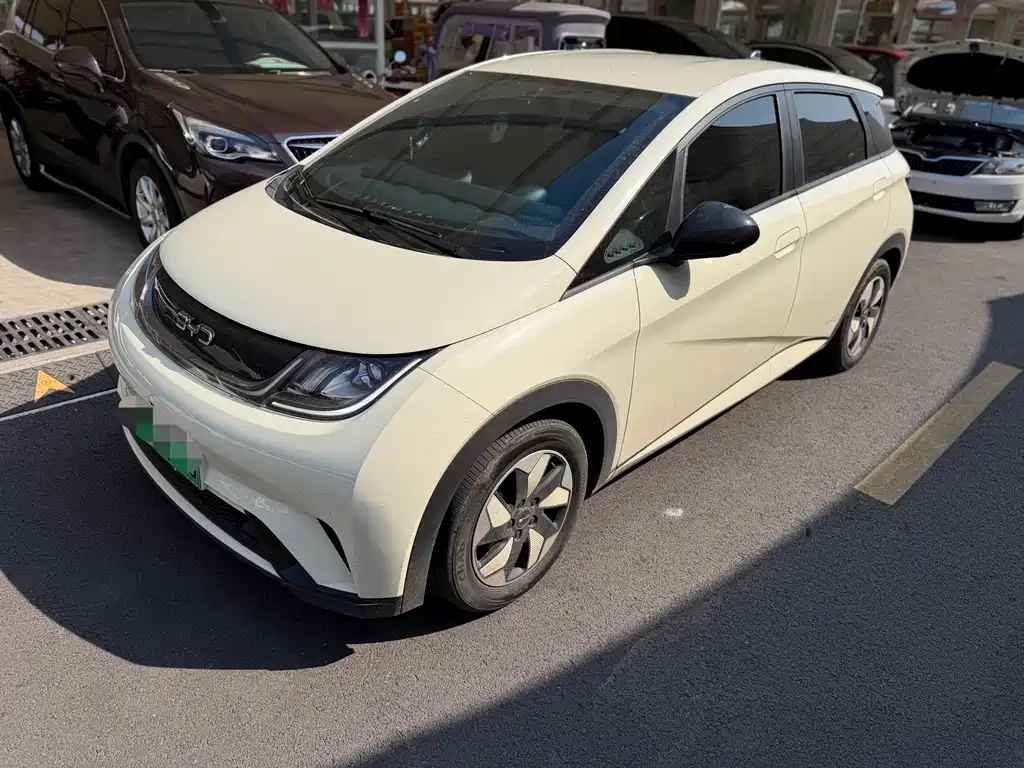 BYD Dolphin 2024