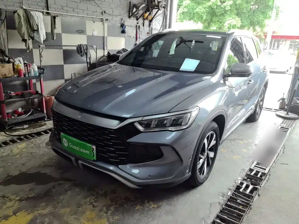 BYD Pro New Energy 2024