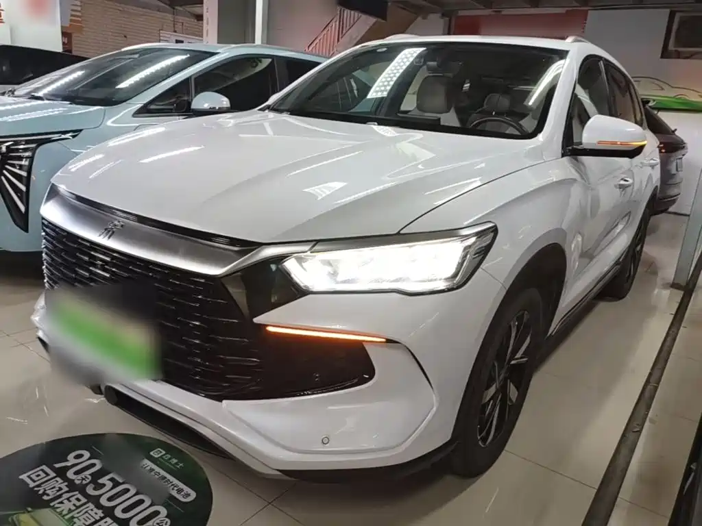 BYD Pro New Energy 2024