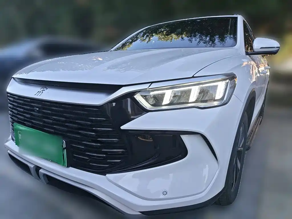 BYD Pro New Energy 2024