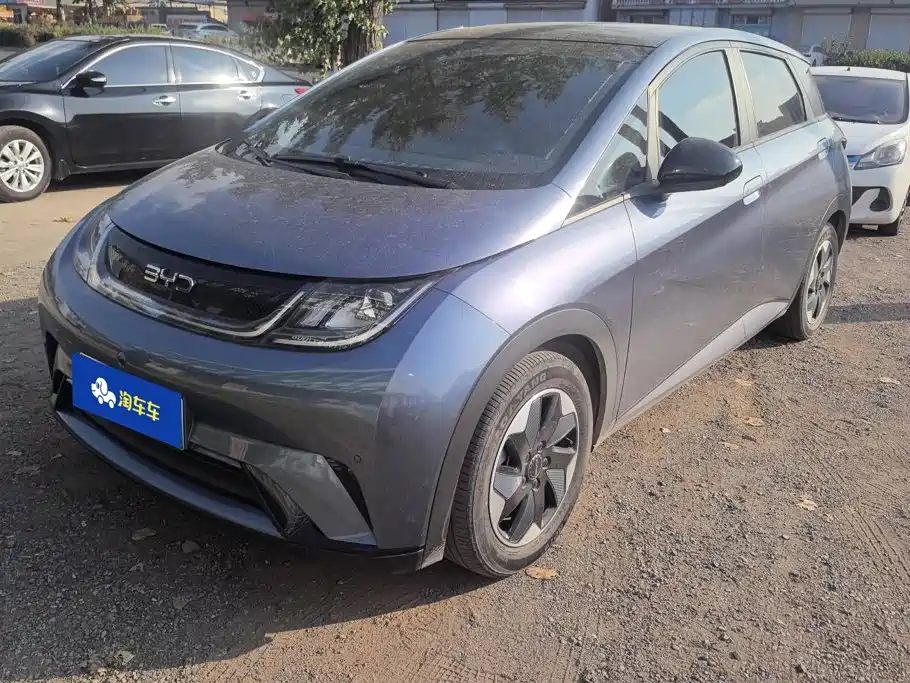 BYD Dolphin 2024