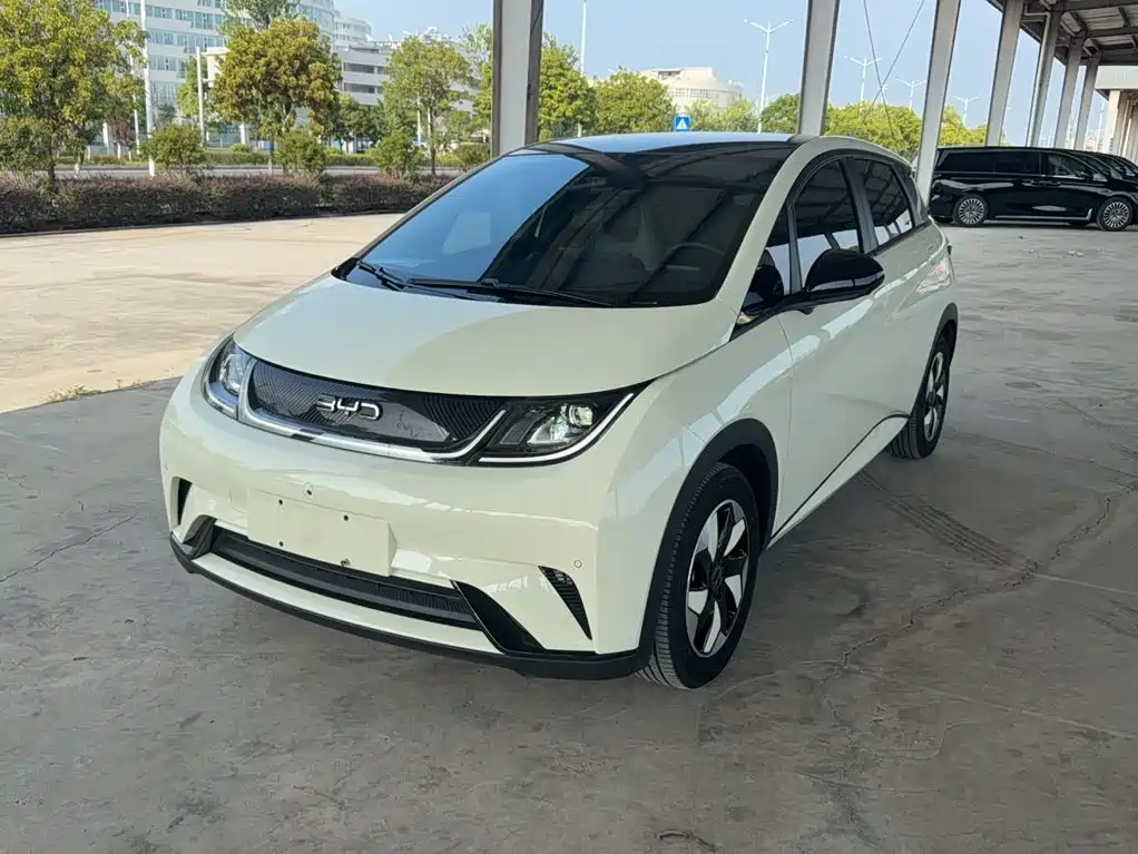 BYD Dolphin 2024